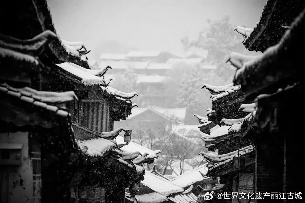 图片5
