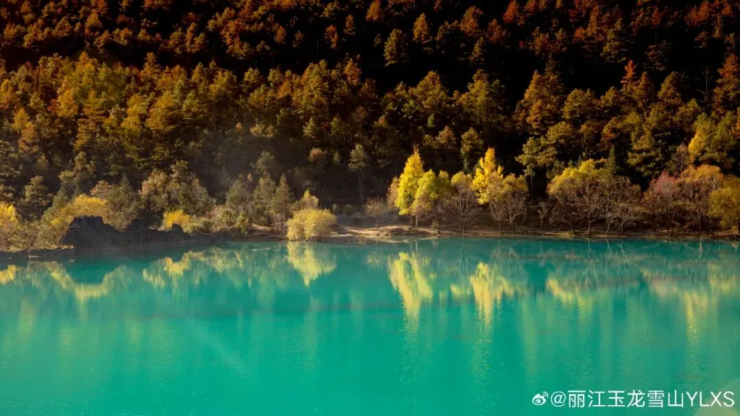 图片9