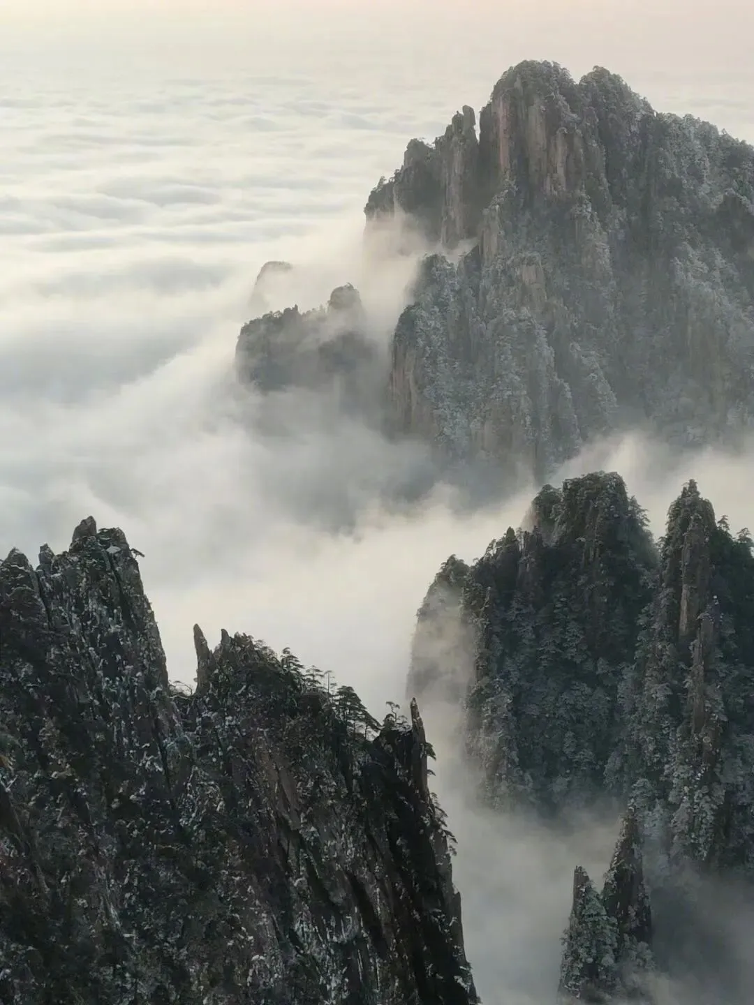图片10