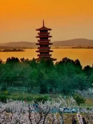 图片25