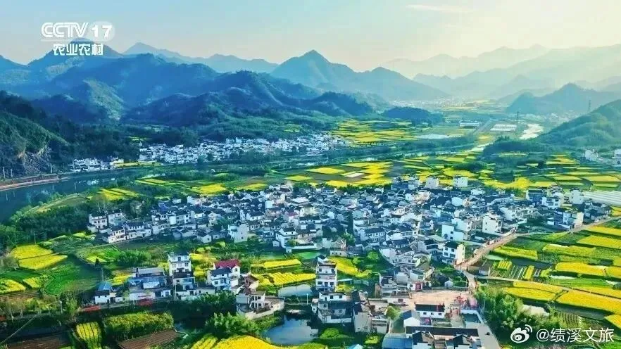 图片12