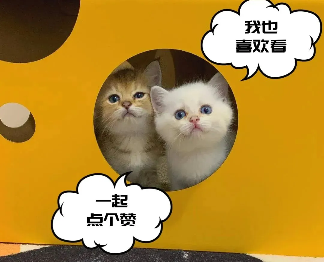 图片18