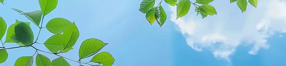 图片14