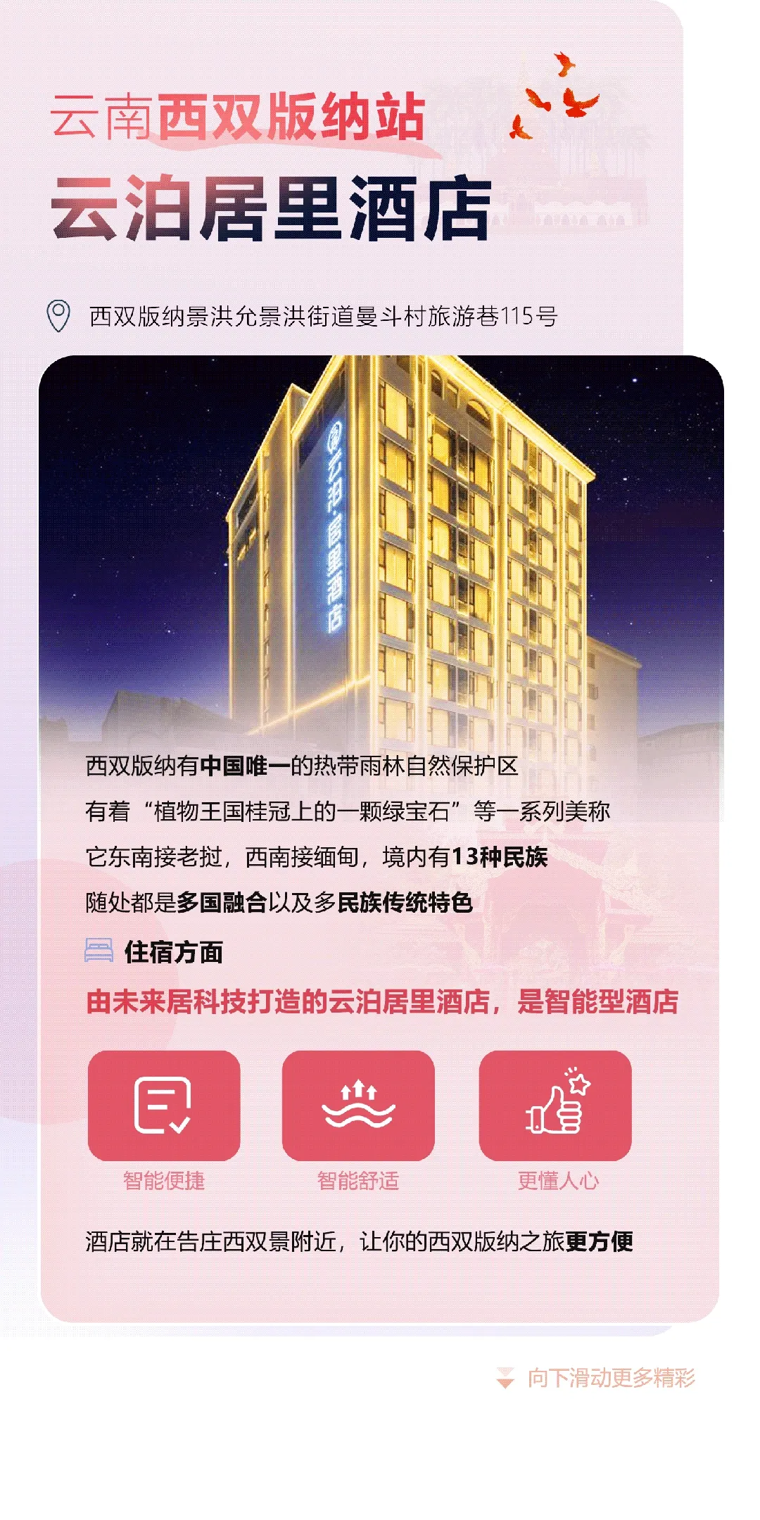 图片3