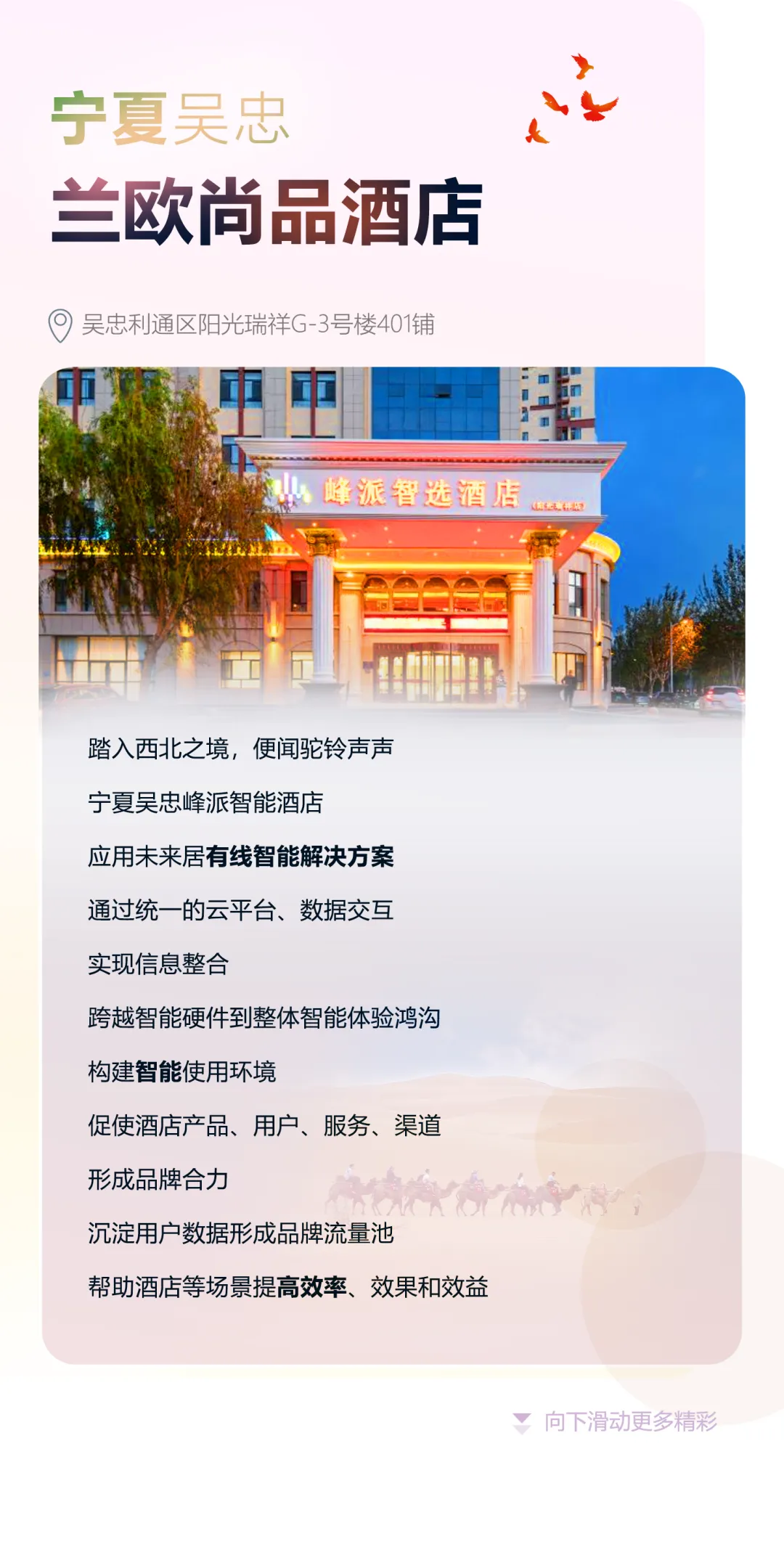 图片15