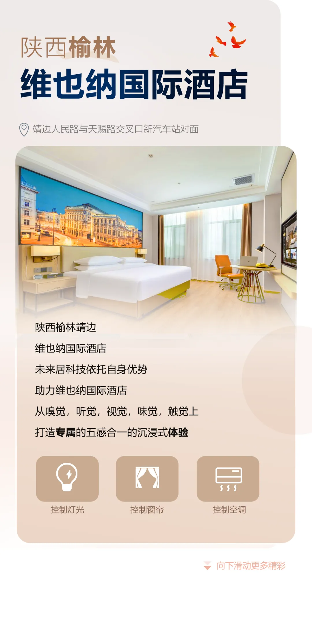 图片16