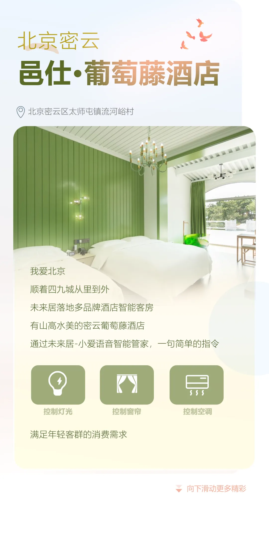 图片21