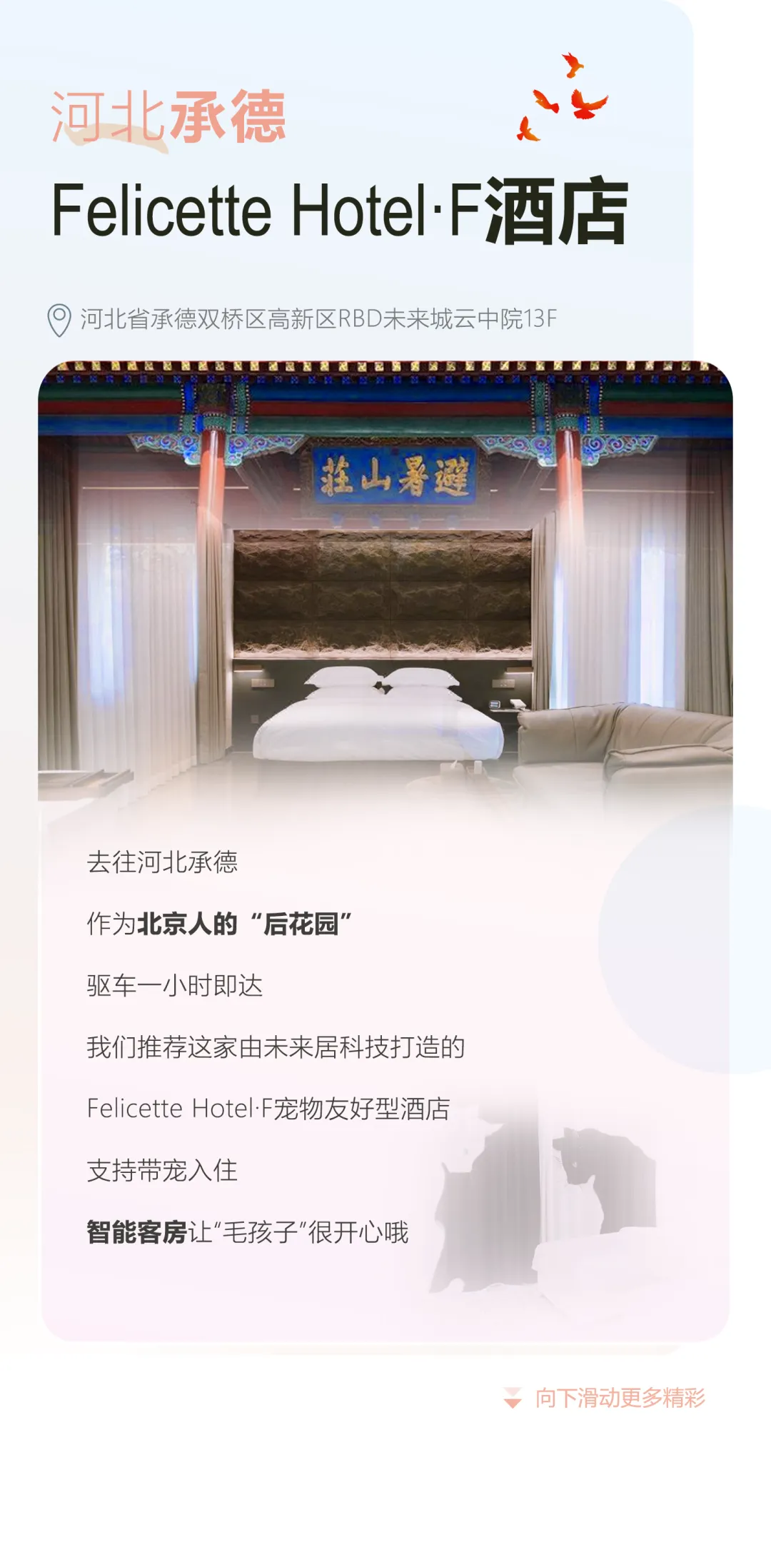 图片22