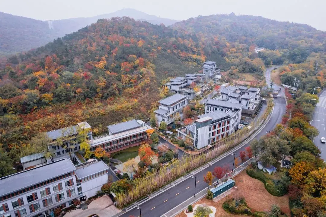 图片3