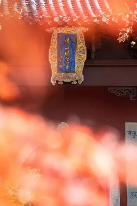 图片5