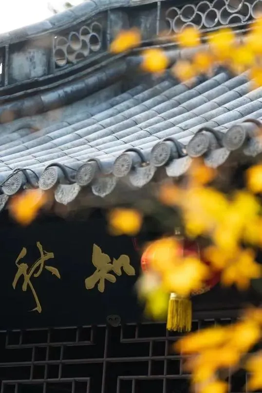 图片6