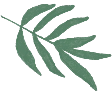 图片8