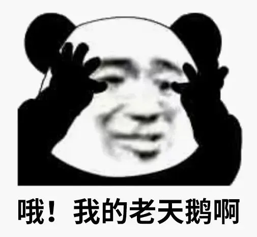 图片4