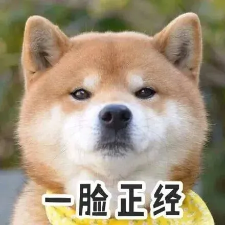 图片15