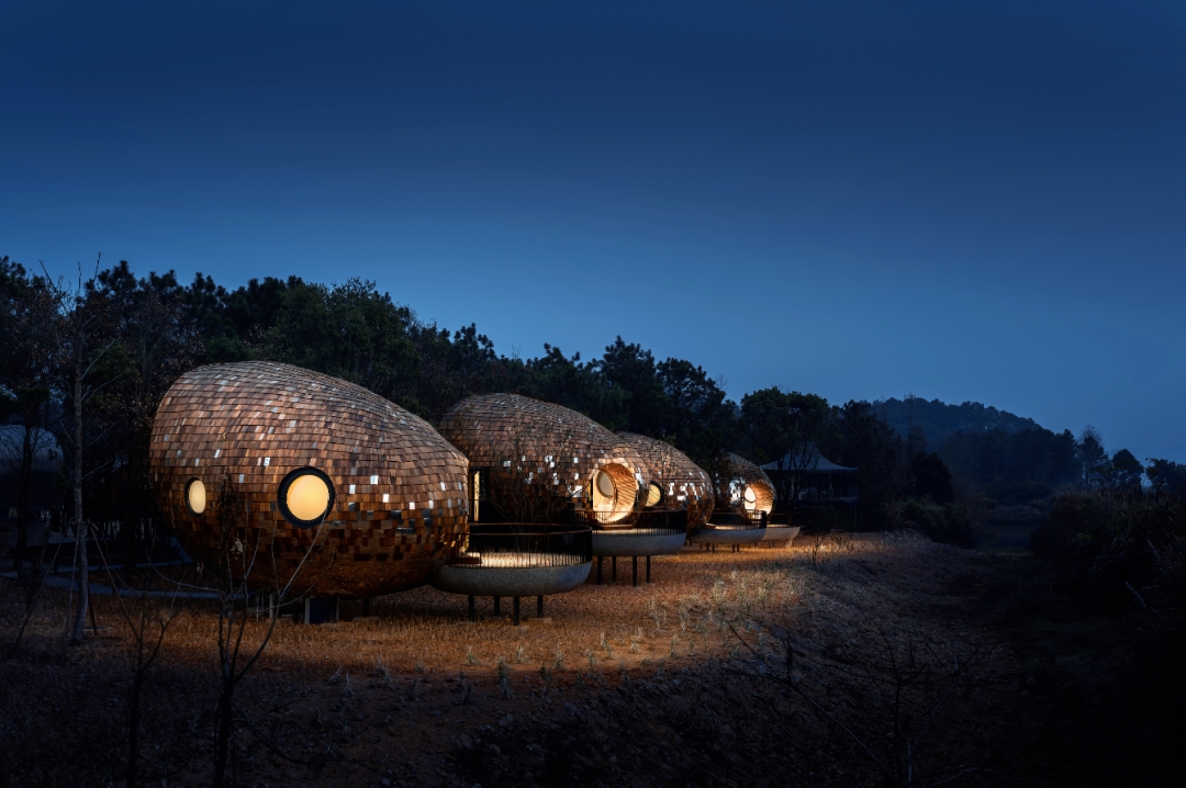 新余仙女湖树蛙部落