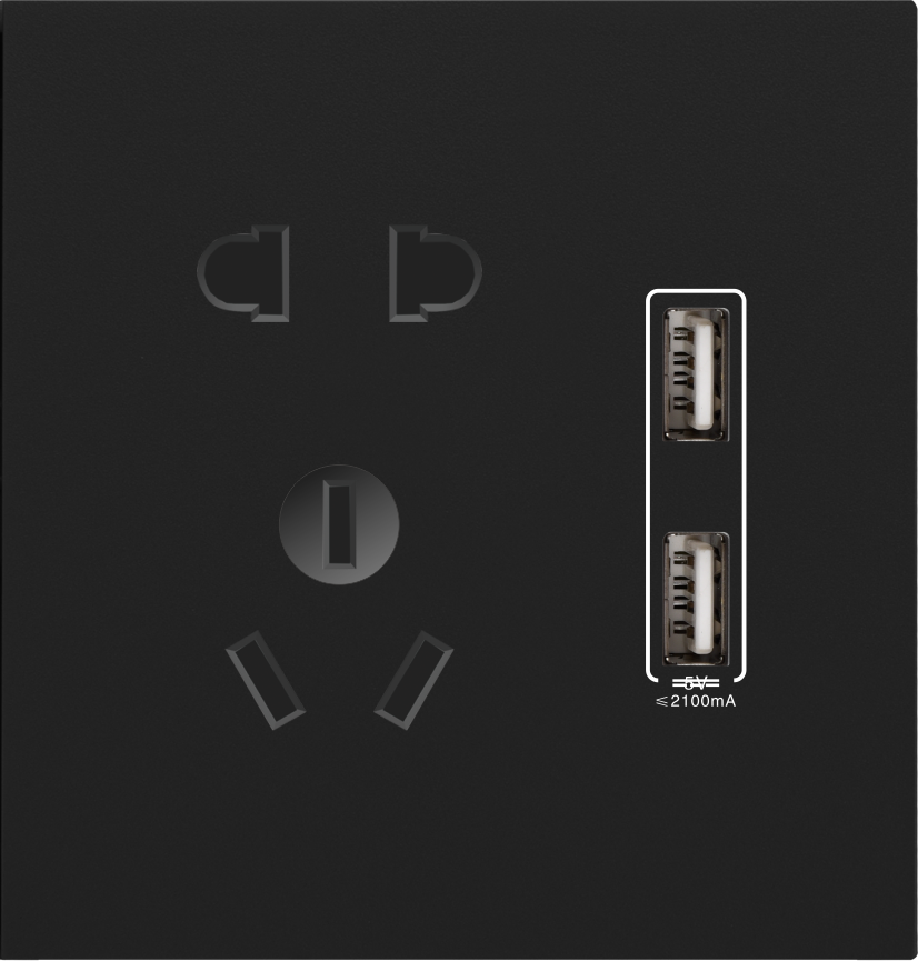 D系列D3二三级插座（双USB版）_酒店智能开关面板_温控面板_情景模式开关_插卡取电 - 未来居